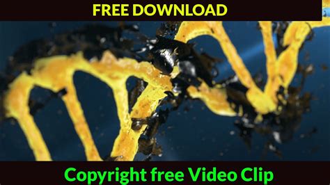 vido|free video clips download.